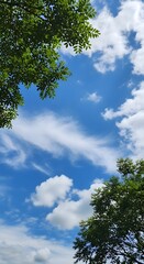 Obraz premium a view from below blue sky and clouds 