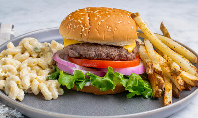 cheese burger with  fries and macaroni salad