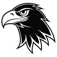 Obraz premium Fierce eagle head black and white bird profile