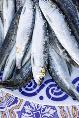 Fresh sardines lying on decorative portuguese plate, ready for grilling