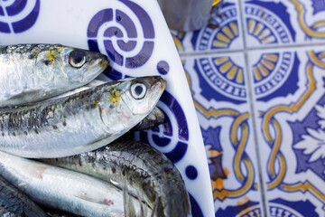 Fresh sardines resting on decorative portuguese plate, ready for grilling