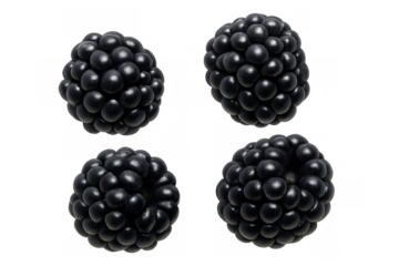 Four different views of a ripe blackberry rotating, isolated on a transparent background, perfect for healthy eating and fruit-based designs