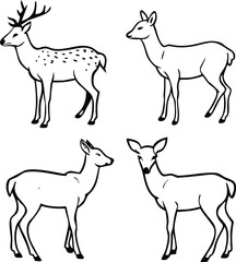Four deer standing in various poses fawn stag