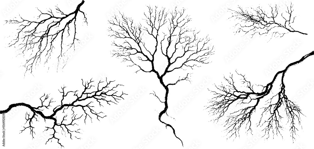 Poster intricate collection of vein and root like ink lines for creative design