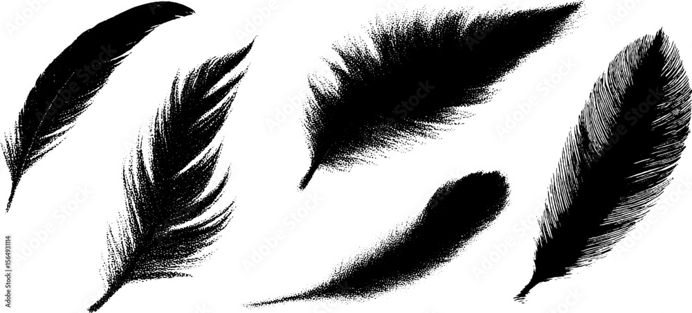 Poster collection of feather silhouettes and textures with ink drawing for artistic design