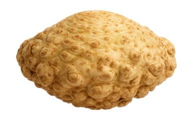 Celeriac root with knobby, irregular surface and beige coloration