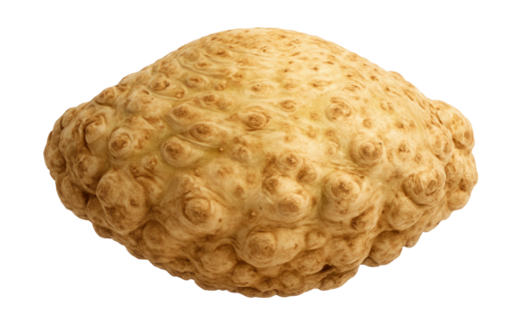 Celeriac root with knobby, irregular surface and beige coloration