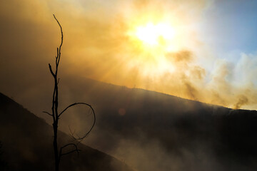 Forest Fire Smoke Blankets Mountain Landscape