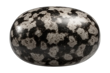 Chia seed with speckled, black and white pattern and smooth surface