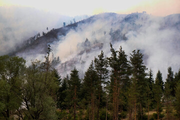 Forest Fire Smoke Blankets Mountain Landscape