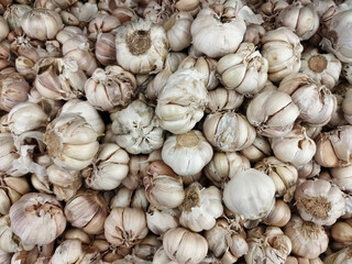 Fresh raw garlic (bawang putih) displayed, showcasing its smooth white bulbs and firm cloves, widely used in cooking and traditional remedies. Textured background