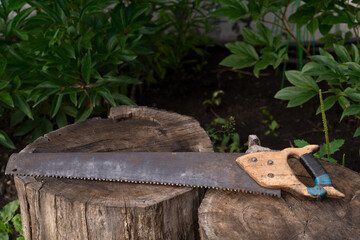 An old rusty hand saw with a wooden handle lies on two old logs. The background is dark with green leaves in soft focus.
