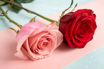 red and pink roses on a white background, Pink and Red Roses on Soft Pastel Background – Romantic Floral Close-Up, seamless background with roses, pink and red roses on a white background