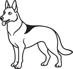 German Shepherd dog standing alert canine animal