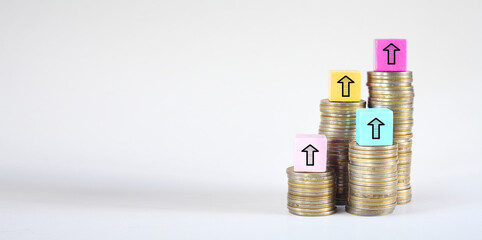 Business concept for financial growth, wealth mangement, making money,successful banking,insurance, consulting, free copy space
