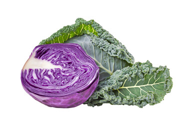  half of red cabbage and whole leaf of kale  isolated on white background