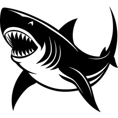Obraz premium vector illustration of a shark