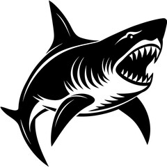Fototapeta premium shark vector illustration
