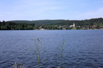 Der Titisee im Schwarzwald im Frühsommer