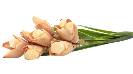 garlic cloves isolated on white background