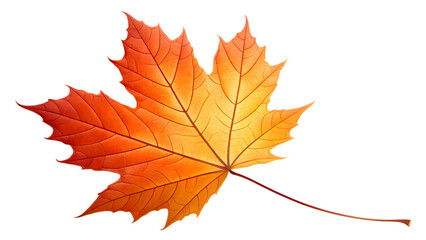 A single maple leaf in orange gradient shades with visible veins, clean cut on transparent background.