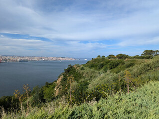 Cityscape of Lisbon from a hill