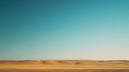 Vast, golden plains under a vibrant blue sky