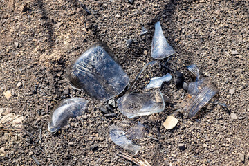 After Wildfire: Burnt Glass Shards on Charred Soil
