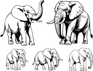 Black and White Elephant Illustrations in Multiple Poses on Transparent Background