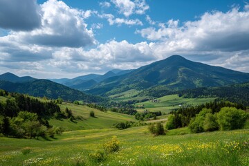 Obraz premium Flowery Landscape. Spring View of Donovaly in Velka Fatra National Park, Slovakia
