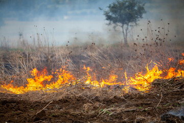 Grassland Fire Spreading Across Field Under Stormy Sky