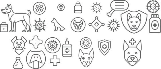 Safeguarding canine health essential veterinary care and protection