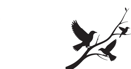 Obraz premium Elegant Black Silhouette Birds on Branch: Aviary, Nature, Wildlife, Vector Illustration