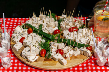 platter of cubed white cheese appetizers garnished with cherry tomatoes, dill, and chives, served on a red and white checkered picnic tablecloth.