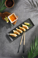 Pan-fried gyoza arranged on slate platter, bright lighting, overhead composition