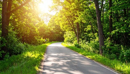 Naklejka premium Sunlit asphalt road curves through dense green forest, dappled light on the path ahead