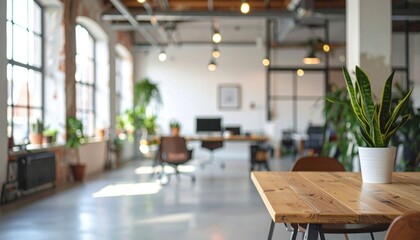 Airy office space with exposed brick, wooden beams, plants, desks, & a snake plant in foreground