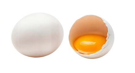 Fresh eggs

