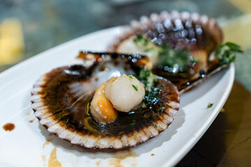 Close-up of two cooked scallops in their shells with herbs and sauce, served on a white plate with shallow depth of field and copy space for text or design