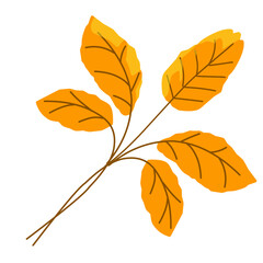 Naklejka premium autumn leaves vector illustration,autumn plants,dry leaves falling from trees