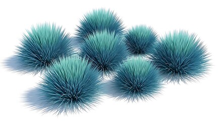 Fototapeta premium Blue green spiky grass clumps blue green grass spiky plants