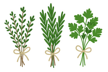 Fototapeta premium Herbs bundle vector illustration - flat design for culinary and botanical projects