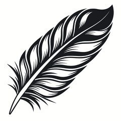 Obraz premium Black feather with detailed barbules white quill