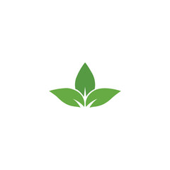 Leaf icon green leaves symbol, eco organic nature logo, bio design element, natural vector illustration, environmental graphic isolated.