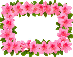 Floral Frame Made of Pink Azalea Flowers and Leaves, isolated on transparent background.