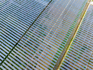Aerial view of solar photovoltaic power station