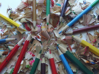 Wood shavings from wooden pencils