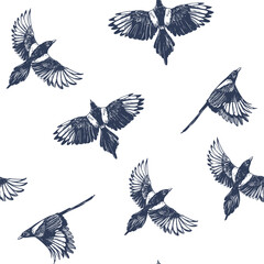 Magpie, flying bird hand drawn sketch, realistic vector monochrome illustration