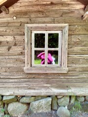 wooden window on the wall. 19th century peasant house. Finland