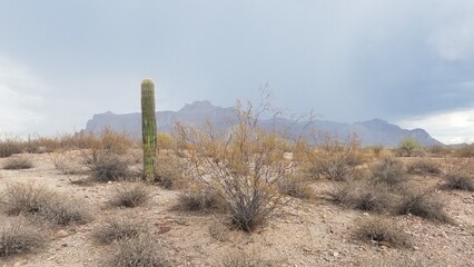 Stormy Day Looking at the Superstition Mountains from Apache Junction, Arizona